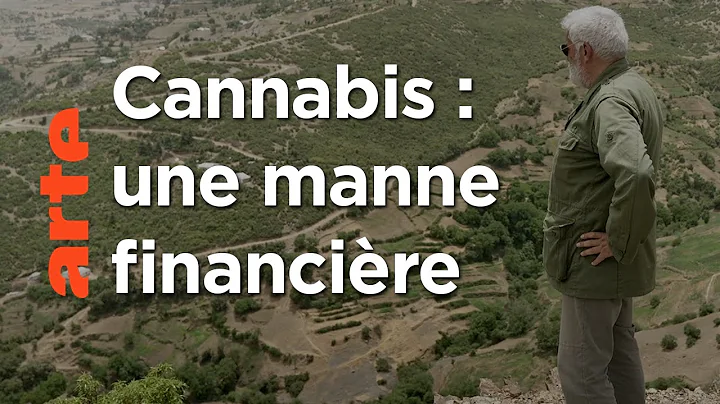 Image du comparatif: "B1. vignette 720 x 202 q-85"